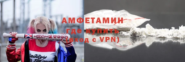 индика Баксан