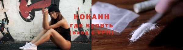 индика Баксан