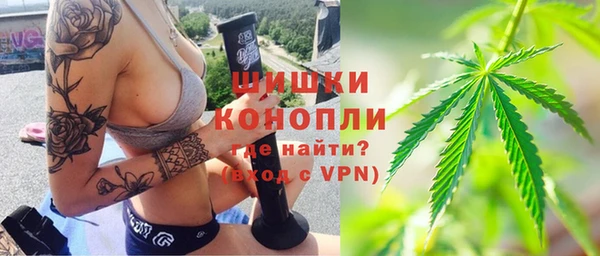 индика Баксан