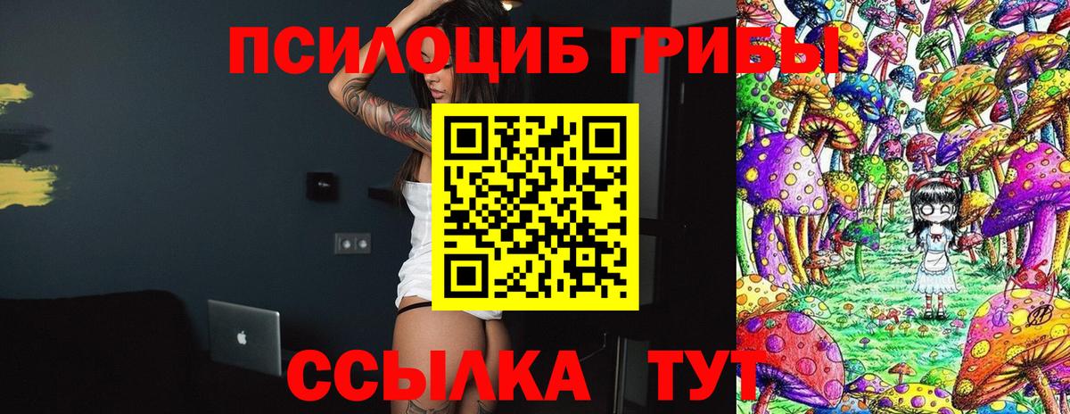 Псилоцибиновые грибы Psilocybe  Вход с VPN  Псилоцибиновые грибы ЛСД  Армавир 